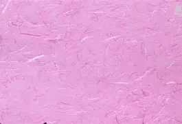 亚博体育官方网站-欧洲女足现状